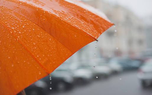 01-180215-kbz-cisco-featured_umbrella-port