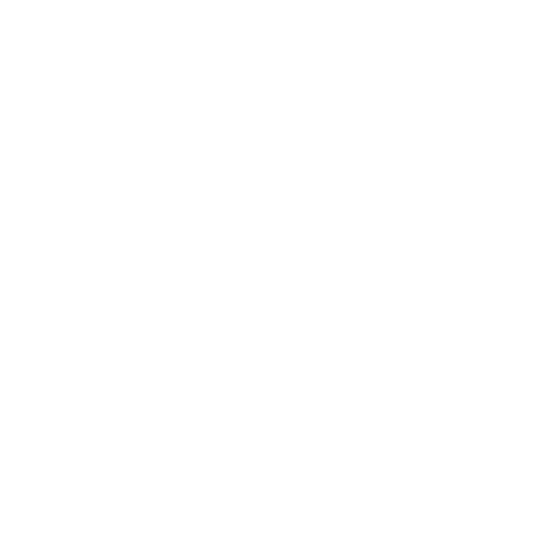 ringcentral_logo_rev_600