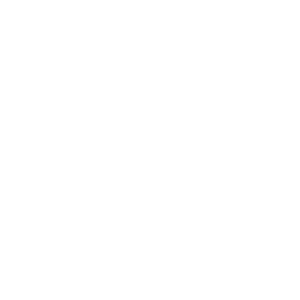 zebra_rev_600