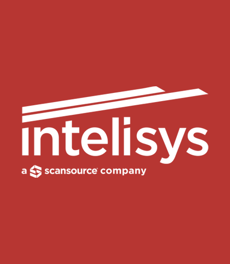 intelisys_flip_image