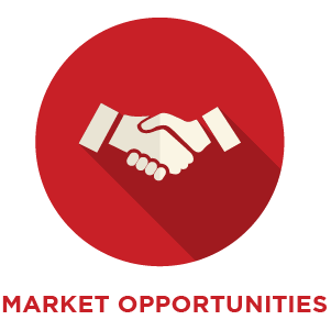 healthcareiconopportunities