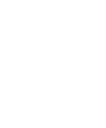 securityicon