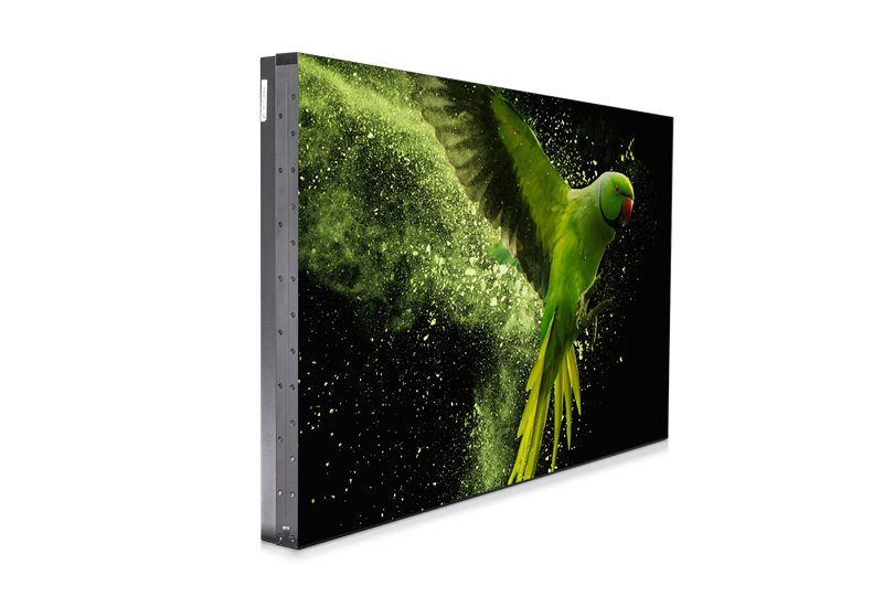kvd-left-persp-bird01-transp