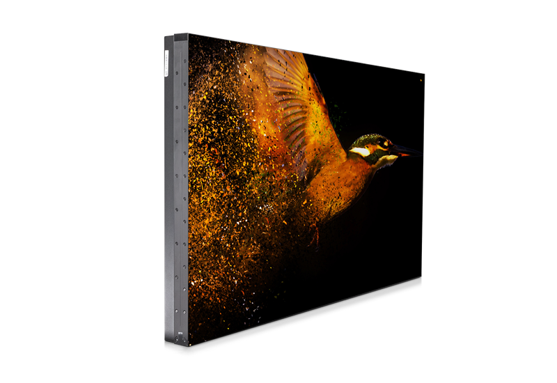 lvd-left-persp-bird02-transp