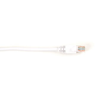 Blackbox CAT5E SNAGLESS PATCH CABLE UTP PVC WH 4'