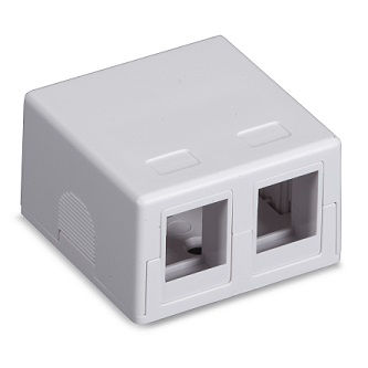 Blackbox SURFACE-MOUNT HOUSING - 2-PORT WH