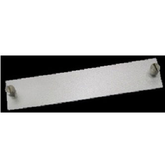 IQSIGHT Blank panel for rack mount card cage