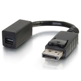 CablesToGo DP Male to Mini DP Female Adapter