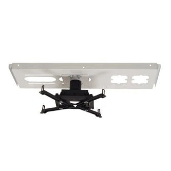 Chief KIT, RPAU, CMS003, CMS440