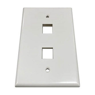 Eaton WALL PLATE 2-PORT SINGLE-GANG