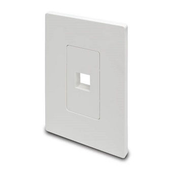 Eaton Single-Gang 1-Port Wallplate K