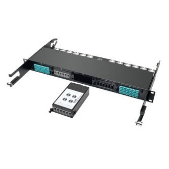 Eaton 2 x 24 Fiber MTP/MPO to 6 x 12