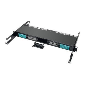 Eaton 100Gb/120Gb Pass Through Casse