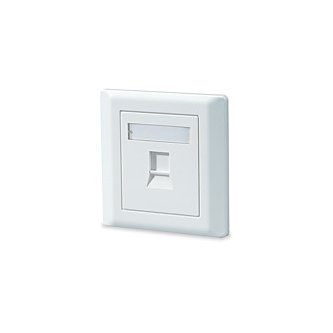 Signamax 1-Port Single Gang Faceplate w/Labeling,