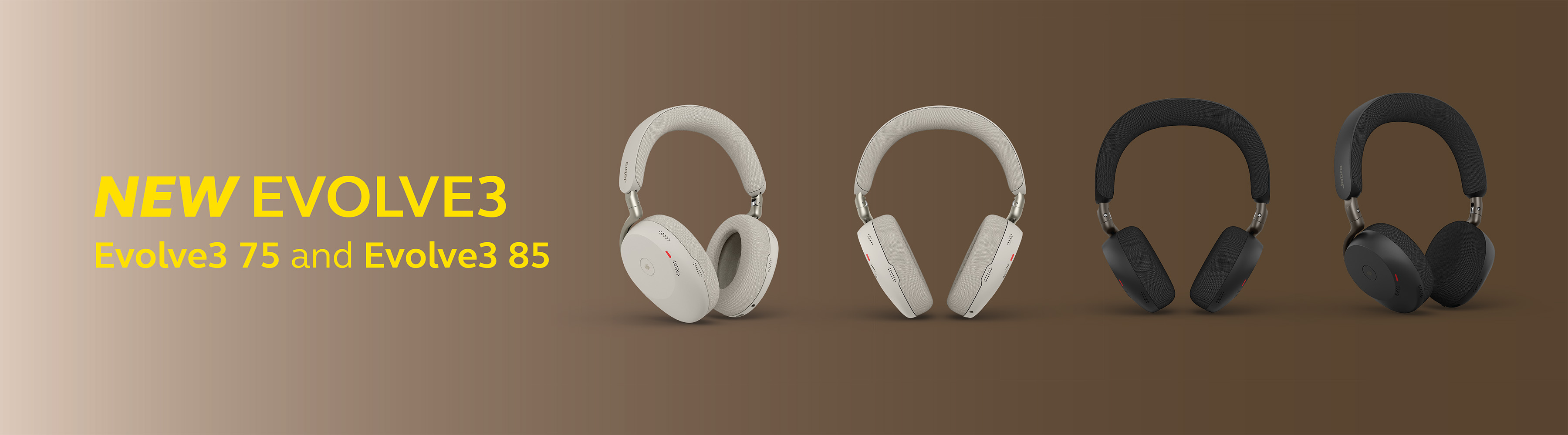 ss-banner-_-evolve3_3600