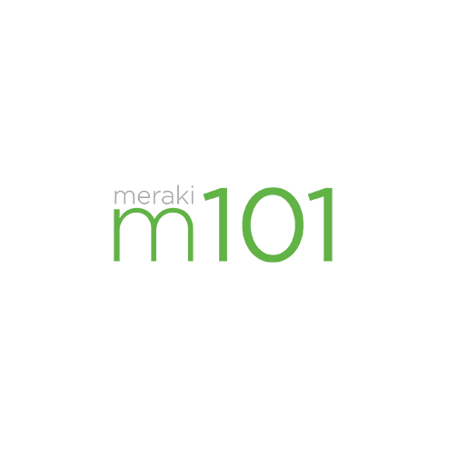 meraki101-1