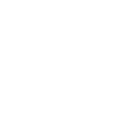 noun-check-8266400-1