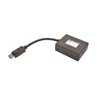 Eaton 2Port DisplayPort to DVI Vide