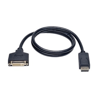 Eaton 3ft DisplayPort to DVI Adapter
