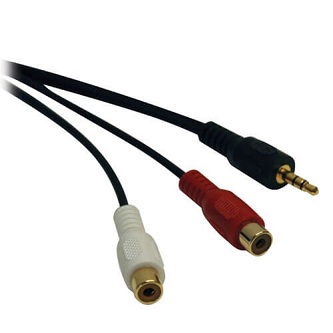 Eaton 6in Mini Stereo to 2RCA Audio