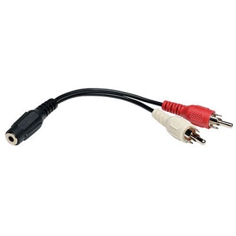 Eaton 6in Mini Stereo to 2 RCA Audio