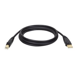 Eaton 10FT USB2 GOLD AB CBL