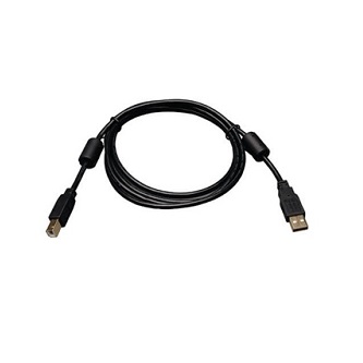 Eaton 6ft USB 2.0 A/B Gold Device Ca