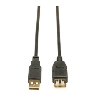Eaton 10FT USB GOLD AA EXT CBL